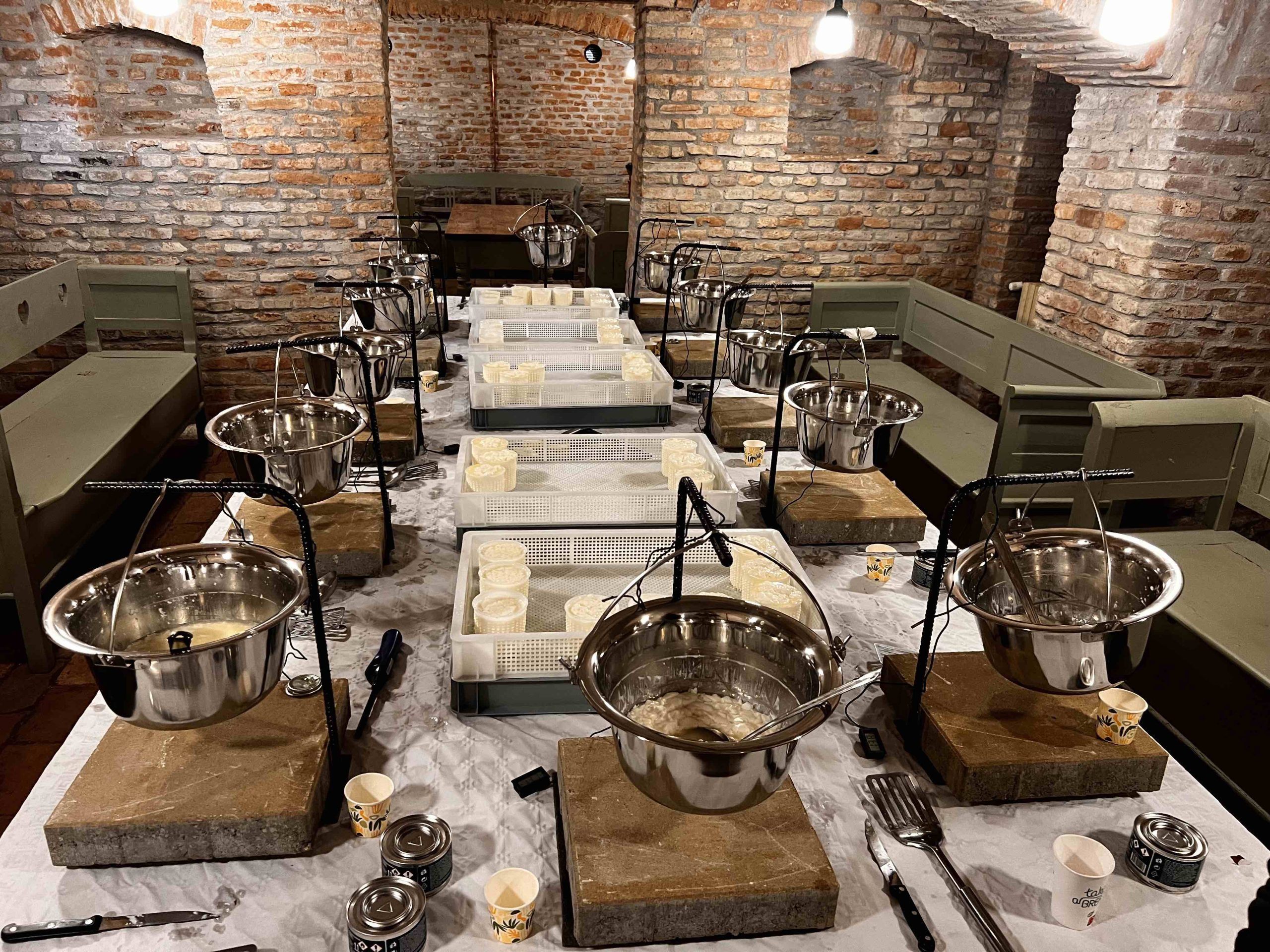 School of Caș — Manufactura de Brânză