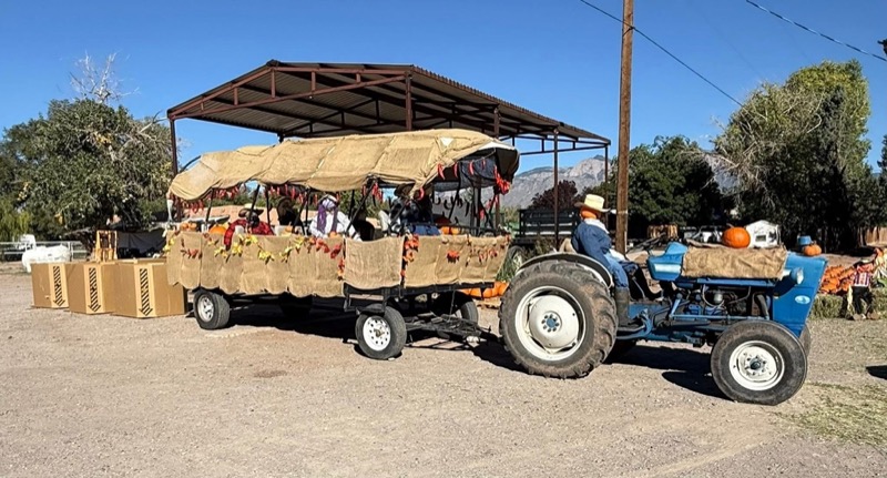 Vizită la pășune cu tractorul și remorca
